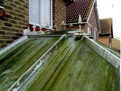 Cleaning conservatory roofs | How to clean a conservatory roof | How to clean moss off roof