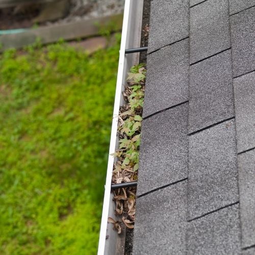 How to clean gutters | How much to clean gutters | Best ladder for cleaning gutters